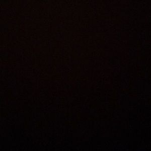 Meet your Posher, Artist